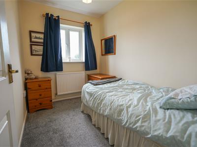 Picture 15